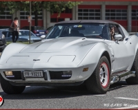 TSR Watermark - 0588